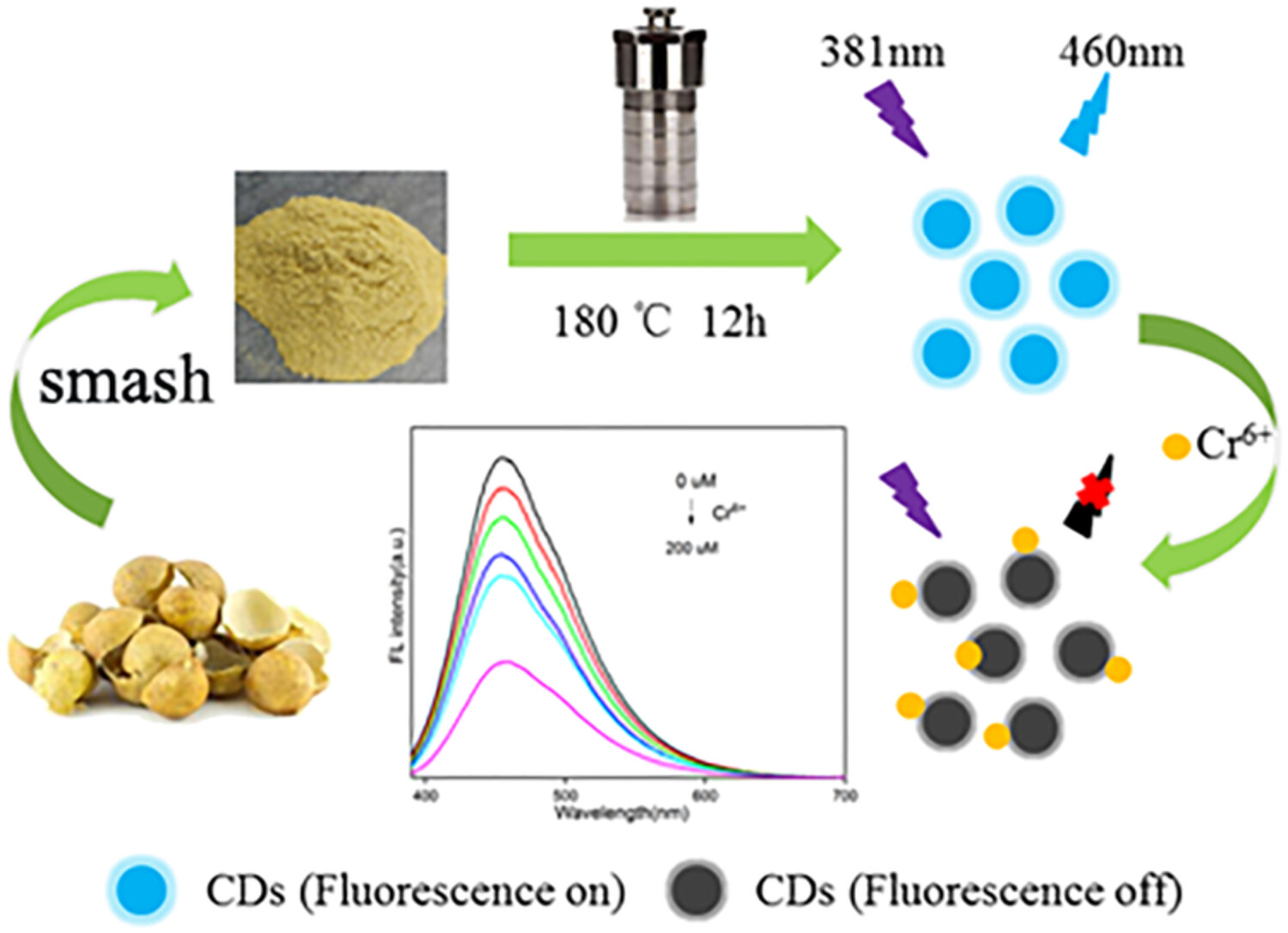 Preparation of biomass water-soluble carbon quantum dots and their application in Cr (VI) ions detection