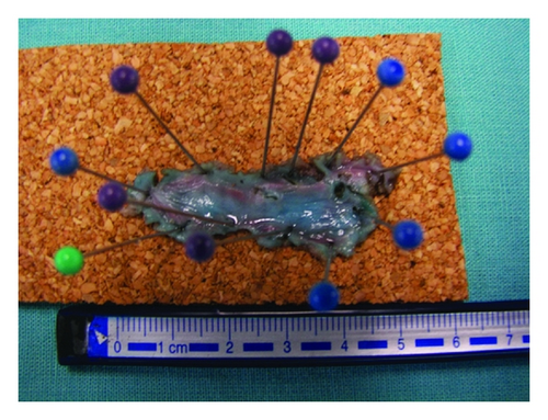 Details are in the caption following the image