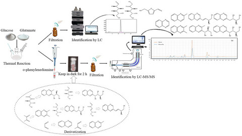 Kinetics of α‑dicarbonyl compounds formation in glucose-glutamic acid model of Maillard reaction