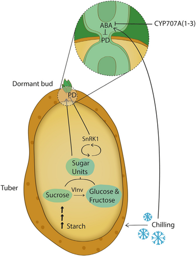 Details are in the caption following the image
