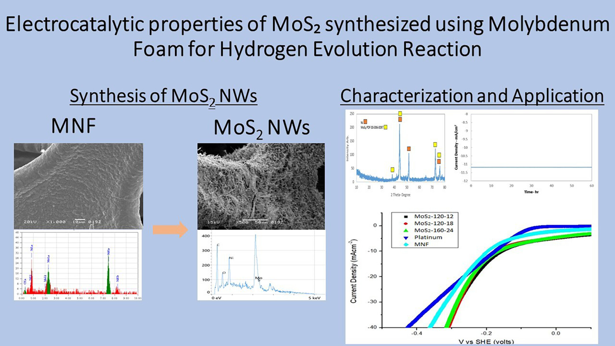 Electrocatalytic properties of MoS₂ synthesized using molybdenum foam for hydrogen evolution reaction