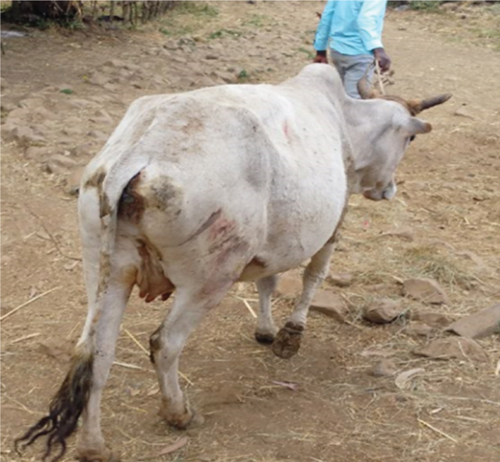Details are in the caption following the image