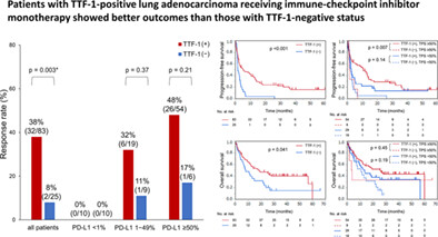Association of thyroid transcription factor-1 with the efficacy of immune-checkpoint inhibitors in patients with advanced lung adenocarcinoma