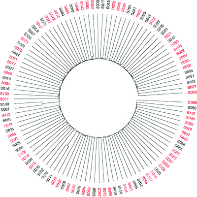 Working toward precision medicine: Predicting phenotypes from exomes in the Critical Assessment of Genome Interpretation (CAGI) challenges