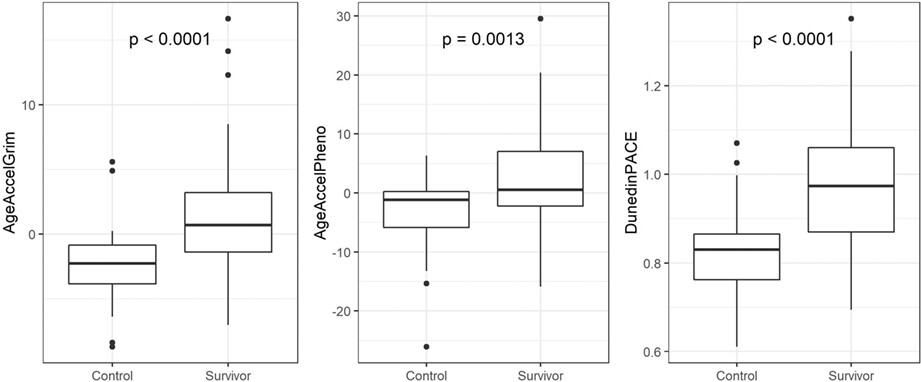 Accelerated epigenetic aging and myopenia in young adult cancer survivors