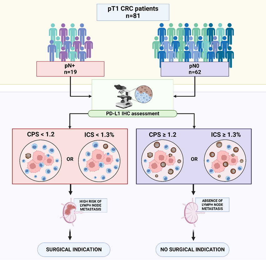 Low PD-L1 expression in immune cells predicts the presence of nodal metastasis in early invasive (pT1) colorectal cancer: a novel tool to tailor surgical treatment