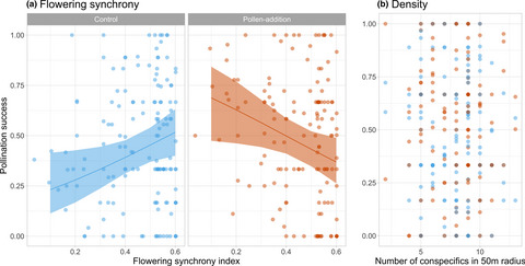 Flowering synchrony drives reproductive success in a wind-pollinated tree