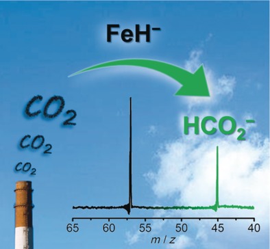 Formation of Gas-Phase Formate in Thermal Reactions of Carbon Dioxide with Diatomic Iron Hydride Anions