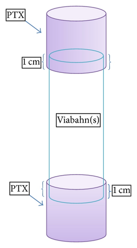 Details are in the caption following the image