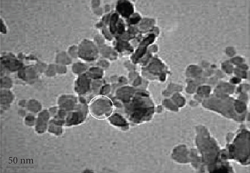 Details are in the caption following the image