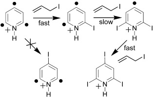 Reactivity of an Aromatic σ,σ,σ-Triradical: The 2,4,6-Tridehydropyridinium Cation