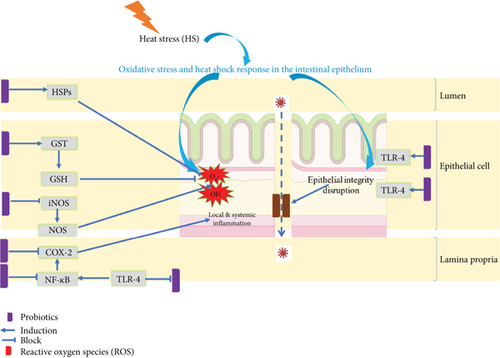 Details are in the caption following the image Details are in the caption following the image