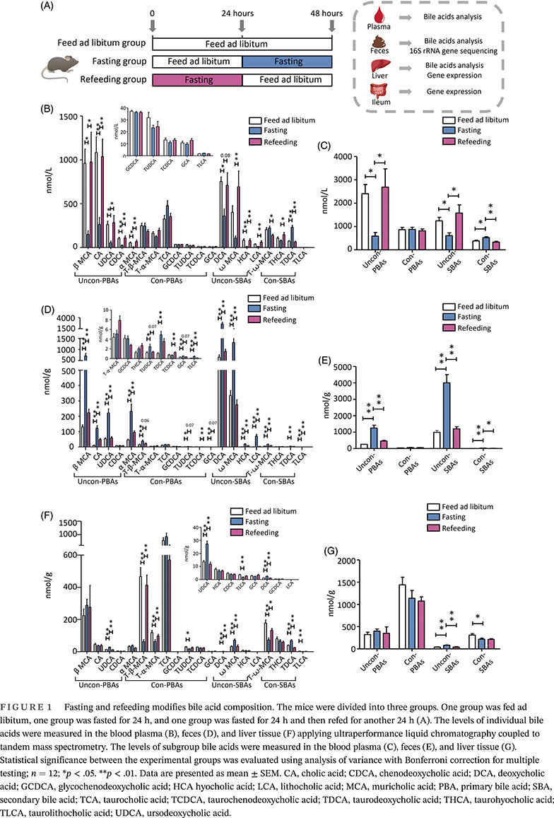 Fasting and refeeding triggers specific changes in bile acid profiles and gut microbiota 禁食和再进食触发胆汁酸谱和肠道微生物群的特异性变化