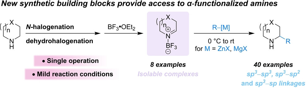 Alicyclic-Amine-Derived Imine-BF3 Complexes: Easy-to-Make Building Blocks for the Synthesis of Valuable α-Functionalized Azacycles