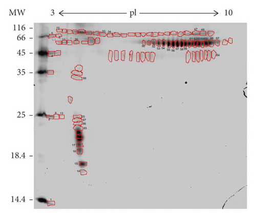Details are in the caption following the image Details are in the caption following the image