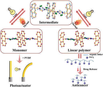 Fabrication of Large Single Crystals for Platinum-Based Linear Polymers with Controlled-Release and Photoactuator Performance