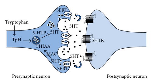 Details are in the caption following the image