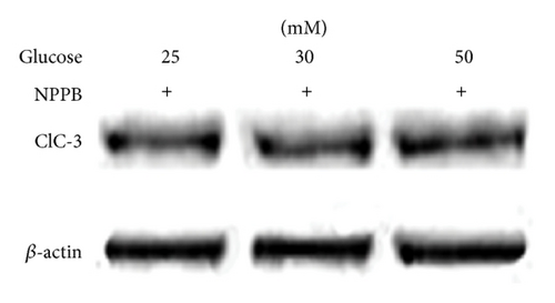 Details are in the caption following the image