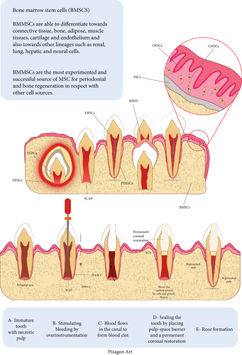 Details are in the caption following the image Details are in the caption following the image