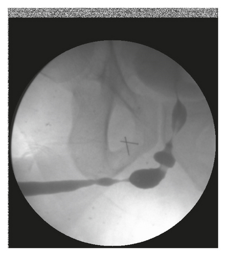 Details are in the caption following the image Details are in the caption following the image