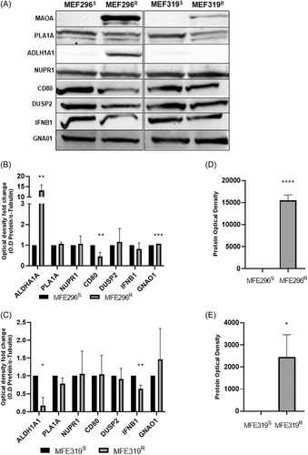 Details are in the caption following the image Details are in the caption following the image