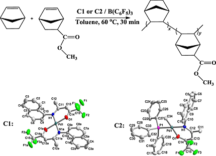 Pd(II) complexes bearing di- and monochelate fluorinated β-ketonaphthyliminato ligand and their catalytic properties towards vinyl-addition polymerization and copolymerization of norbornene and ester-functionalized norbornene derivative