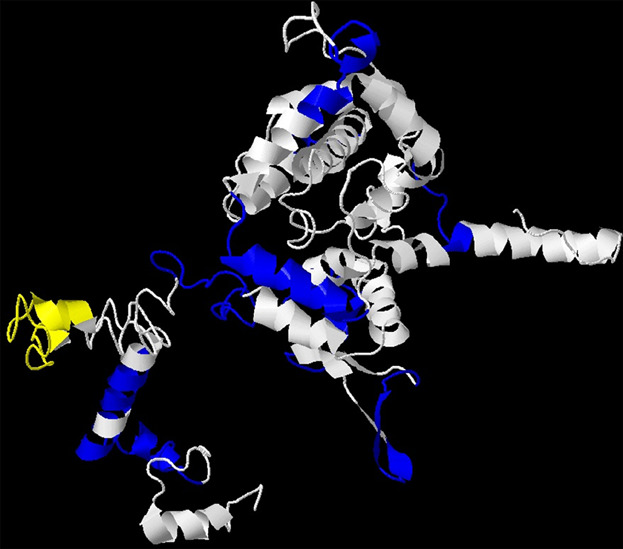 Prediction of B Cell Epitopes Among Hantavirus Strains Causing Hemorragic Fever With Renal Syndrome