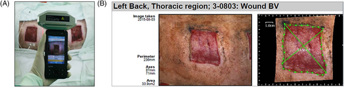 Details are in the caption following the image Details are in the caption following the image