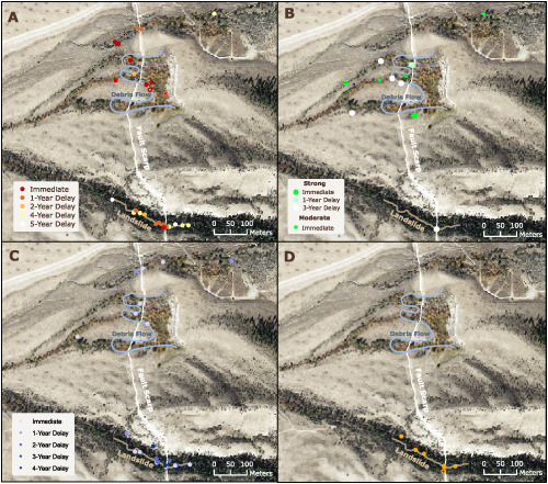 Hydrology and hillslope processes explain spatial variation in tree-ring responses to the 1983 earthquake at Borah Peak, Idaho, USA