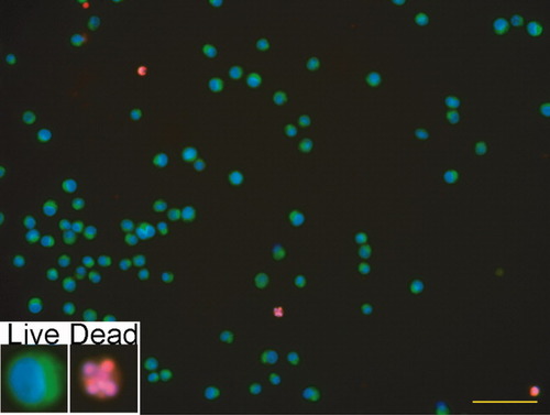 Details are in the caption following the image Details are in the caption following the image
