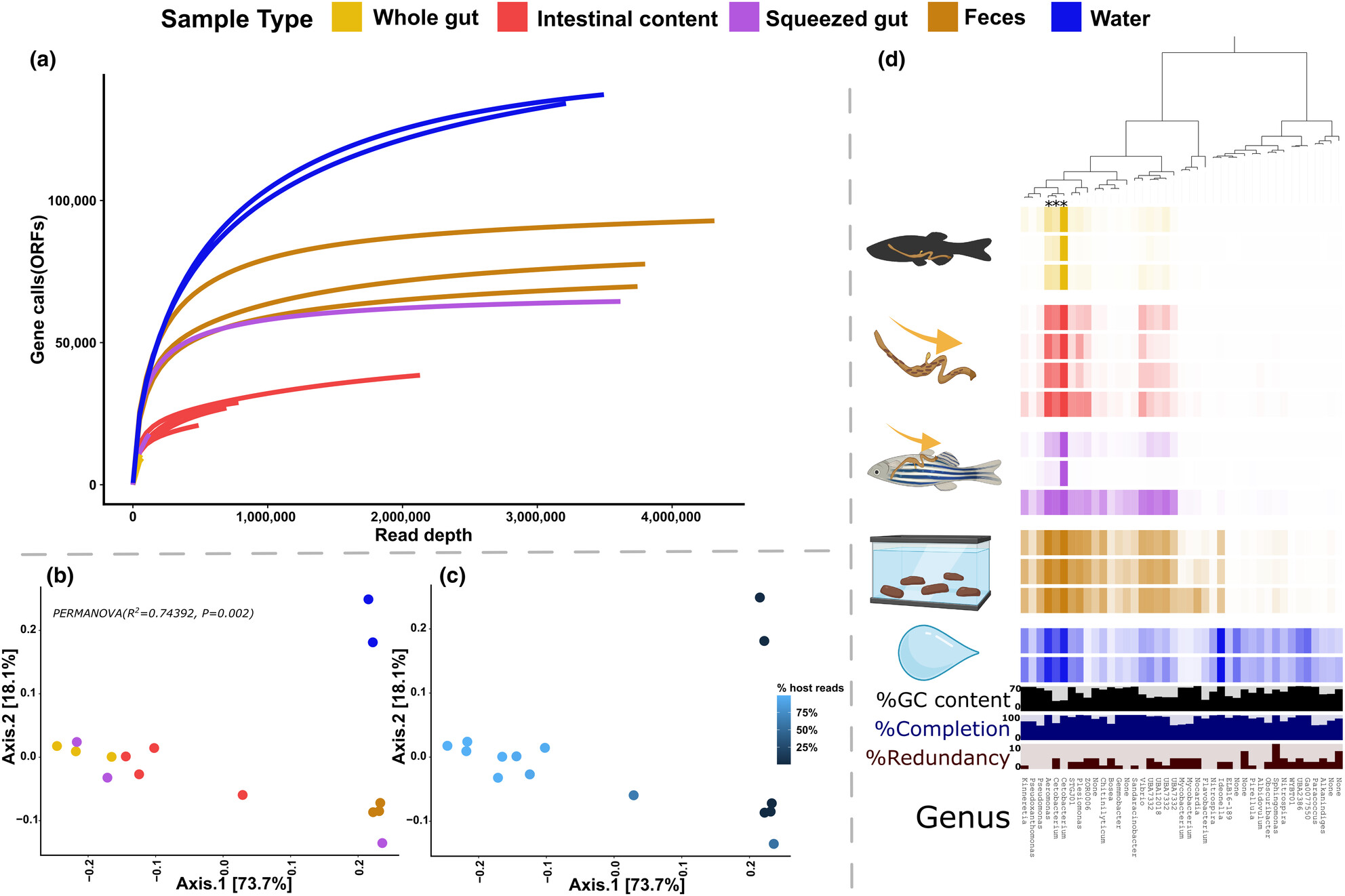 Sampling fish gut microbiota - A genome-resolved metagenomic approach