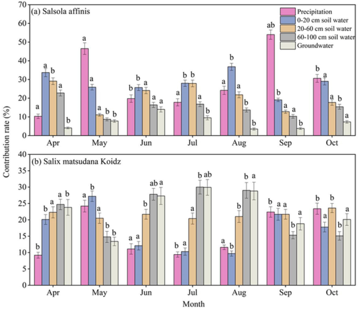 Water use patterns of dominant species of riparian wetlands in arid areas