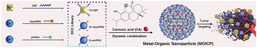 A Tumor-Targeting Metal-Organic Nanoparticle Constructed by Dynamic Combinatorial Chemistry toward Accurately Redressing Carcinogenic Wnt Cascade