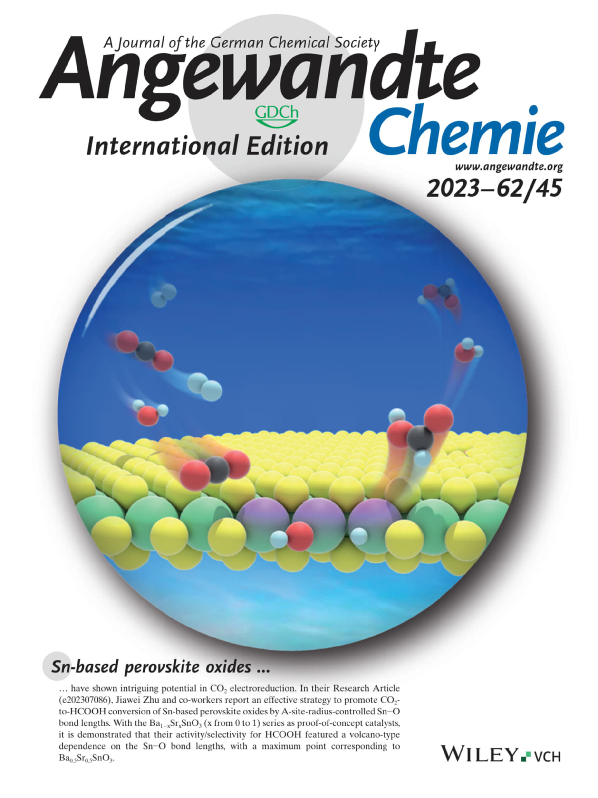 Inside Back Cover: Boosting CO2 Hydrogenation to Formate over Edge-Sulfur Vacancies of Molybdenum Disulfide (Angew. Chem. Int. Ed. 45/2023) Volume 62 Issue 45, 2023