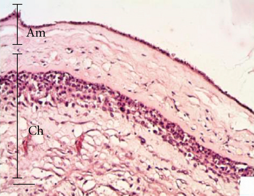 Details are in the caption following the image