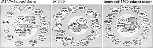 Details are in the caption following the image Details are in the caption following the image