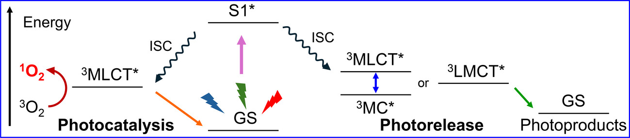Advances in the Design of Photoactivatable Metallodrugs: Excited State Metallomics