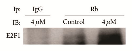 Details are in the caption following the image
