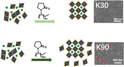 Unveiling the Effect of Polymerization Values on the Crystallization Behavior of Perovskite Films for Efficient and Stable Solar Cells