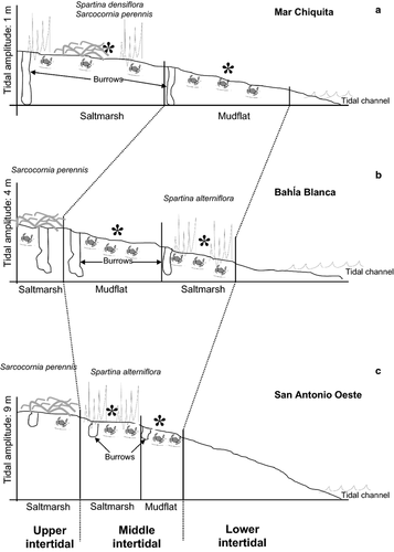 Details are in the caption following the image Details are in the caption following the image