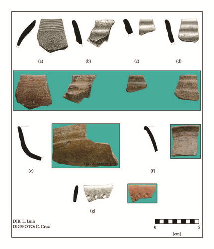 Details are in the caption following the image Details are in the caption following the image