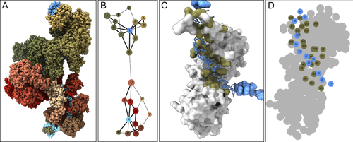 Details are in the caption following the image Details are in the caption following the image