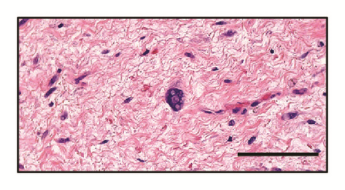 Details are in the caption following the image