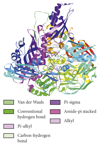 Details are in the caption following the image Details are in the caption following the image