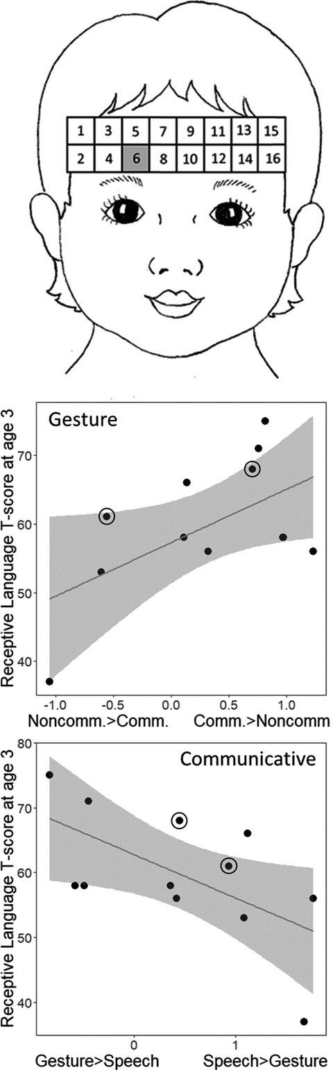 Functional near-infrared spectroscopy in toddlers: Neural differentiation of communicative cues and relation to future language abilities