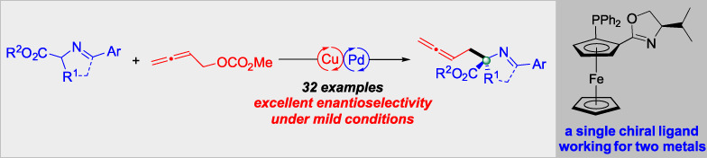 One Stone Two Birds—Enantioselective Bimetallic Catalysis for α-Amino Acid Derivatives with an Allene Unit