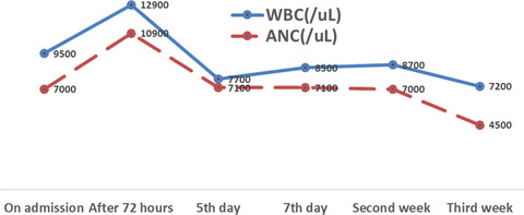 Chorioamnionitis and neonatal sepsis due to extended-spectrum beta-lactamase-producing Escherichia coli infection: a case report