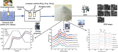 Physicochemical Properties and Structure of Annealed Sweet Potato Starch: Effects of Enzyme and Ultrasound