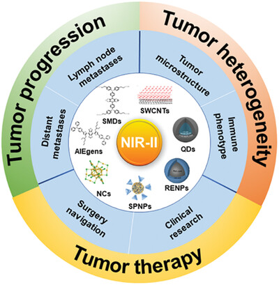 Tracking tumor heterogeneity and progression with near-infrared II fluorophores