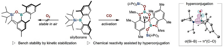 Introducing Steric Bulk Into Silylboranes: Enhanced Bench Stability and Novel Chemical Reactivity